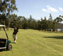 Wisemans Ferry golf