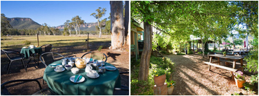 Megalong Tea Rooms